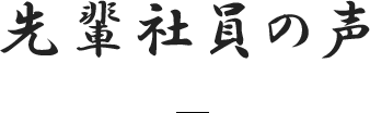 先輩社員の声
